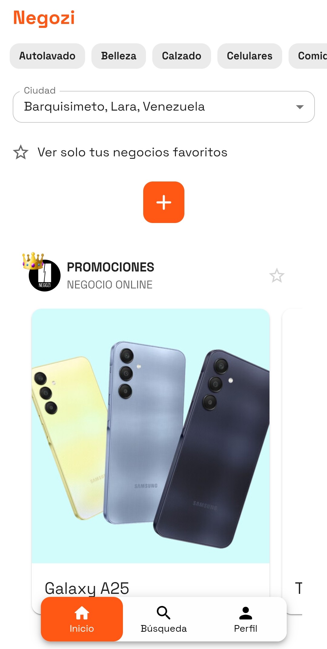 Negozi App Interface